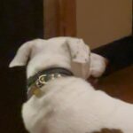 Annabelle Dexter-Jones Instagram - Grat dump Hudson, New York