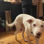 Annabelle Dexter-Jones Instagram - Grat dump Hudson, New York