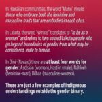 Anne Hathaway Instagram - This spoke to me so deeply today. Reposted with gratitude from @_illuminatives. We honor two spirit, queer, transgender, and other gender identities that existed way before colonization. We acknowledge these experiences and voices during #WomensHistoryMonth. #TransDayofVisibility #TDOV