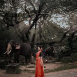 Ansha Mohan Instagram - തറവാട്ടു മുറ്റത്തേക്ക് കാലെടുത്തു വെച്ചതേ എന്റെ കണ്ണിലേക്കടിച്ചത് അരയാലിലകൾക്കിടയിലൂടെ അരിച്ചിറങ്ങുന്ന സൂര്യ കിരണങ്ങൾ ആണ് ,പിന്നെ കണ്ണിൽ തെളിഞ്ഞതാവട്ടെ കൊമ്പ്ന്മാരുടെ നടുക്ക് ആനചന്തവുമായി നിൽക്കുന്ന എന്റെ ദേവി, എന്റെ സ്വപ്നങ്ങളിലെ രാജ കുമാരി……. Caption- @vjmariyamma_alencherry Makeover @artist_bridal_makeover_studio