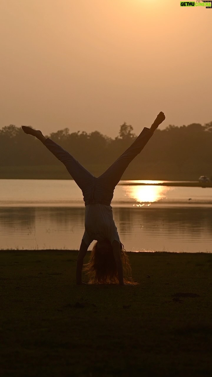 Anusha Dandekar Instagram - Gotta leave before you love me… 🤸🏽🤍 ( well when it comes to the jungle I gotta leave before I love it too much @thebackwatersanctuary ) Shot by: @abdulshez Location: @thebackwatersanctuary @thebisonkabini