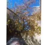 Arash Mir Ahmadi Instagram - استوری گذاشتن مادربزرگها و پدربزرگها🤣 فضای مجازی گریبان مادربزرگها و پدربزرگها را هم گرفته🤣 بیگانه بودن اونا رو با دنیای مجازی امروز در استوری هاشون میتونین ببینین. 🙃 اولین عکس... پدربزرگی استوری کرده بود که سریع شکارش کردم دومین هم مادربزرگ دوستمون که بعد استوری کردن و پاک کردنش بهش پیام دادم ازش گرفتم. سومین عکس... مادربزرگی تا گذاشتش استوری بهش زنگ زدیم که مامان بزرگ این چیه گذاشتی!؟ 😉 و آخری هم که مادربزرگ از جشن تولد دونفره شون گرفته برای بچه هاش فرستاده🤣 . #سلفی #عکس #استوری# Iran