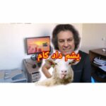 Arash Mir Ahmadi Instagram - با کد ملی به سامانه برید و سهمیه تونو دریافت کنید #پشمام #پشم_ریزون #سلطان_پشم Www.pashm. Com Tehran, Iran