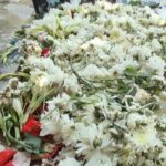 Arash Mir Ahmadi Instagram - ما را برای وداع آفريده اند . #آرش_میراحمدی . همیشه در قلب ما زنده است 1350-1402