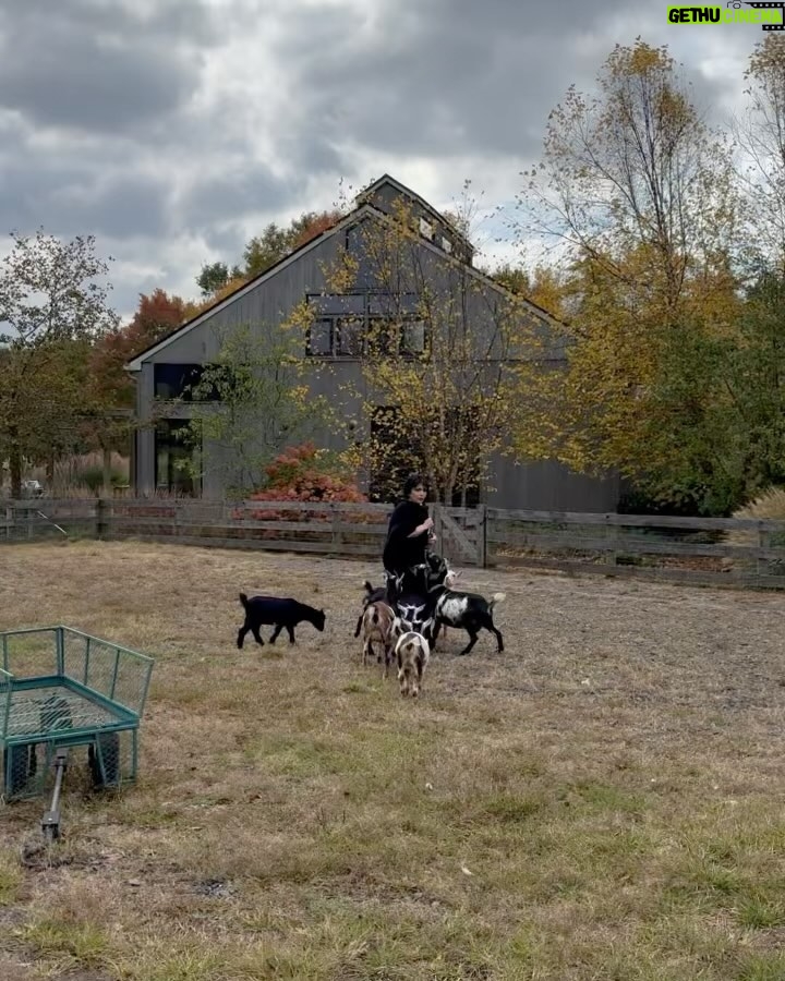 Ariana Grande Instagram - ag7: goat mother
