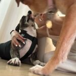 Ariana Grande Instagram -