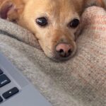 Ariana Grande Instagram -