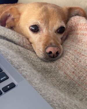 Ariana Grande Instagram - 