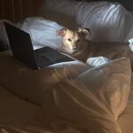Ariana Grande Instagram -