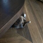 Ariana Grande Instagram -