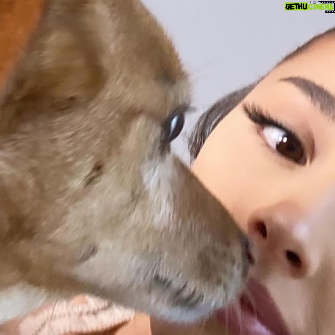 Ariana Grande Instagram - “after all, i’m cosmic dust” 🫧 ♡ 🌱 @michinara3