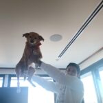 Ariana Grande Instagram – home is wherever these humans (and dogs) happen to be
:)