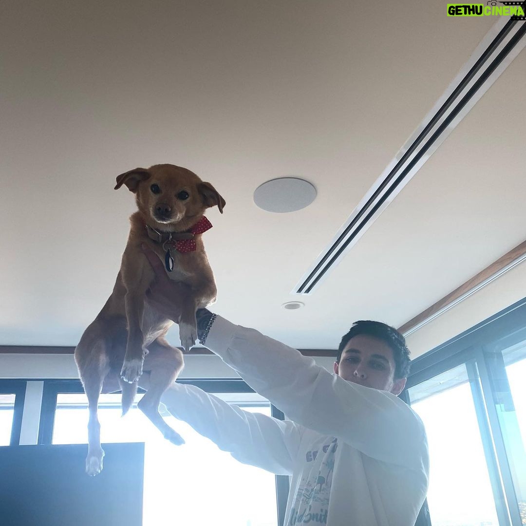 Ariana Grande Instagram - home is wherever these humans (and dogs) happen to be :)