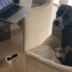 Ariana Grande Instagram – home is wherever these humans (and dogs) happen to be
:)