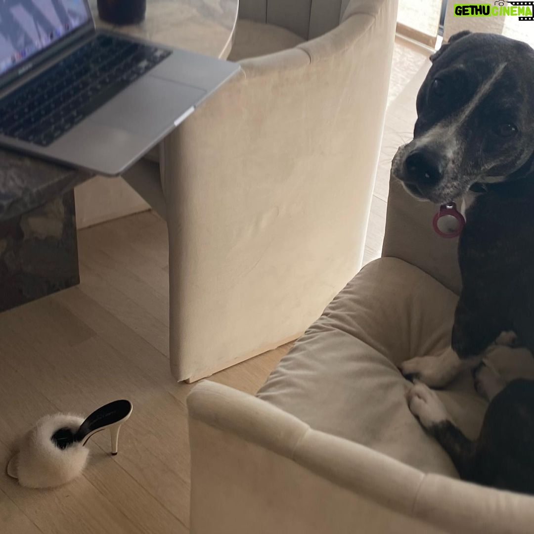 Ariana Grande Instagram - home is wherever these humans (and dogs) happen to be :)