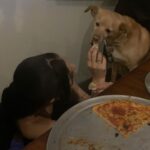Ariana Grande Instagram -