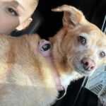 Ariana Grande Instagram -