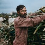 Arjun Kamath Instagram - I made this portrait of Shri Kishan Ghanshyam Chauhan, a 35-year old worker, a couple of weeks ago near Aurangabad in Maharashtra. It was nearly dusk and I was on my way back from Paithan to Aurangabad when I saw a cluster of men gathered around a factory in their respective bullock carts. At first, I thought of just letting it be since I was already headed for my destination. However, an eccentric gathering such as this got the better of my interest, so I decided to stop the car and explore. As I was walking amidst the group, where men clad in all-whites were loading and unloading piles of sugarcane from their carts, I stumbled upon Kishan. The only one in a somewhat coloured attire, his gripping eyes gained my attention and I approached him to figure out the commotion. He told me that workers & farmers of the area make this trip to the factory about 4 to 5 months a year, where they stand in a queue waiting for their turn to deliver sugarcane. I was surprised to find that this task sometimes goes on all night, and was moved when Kishan mentioned that he has been doing this for 17 years. After our brief conversation, the chap continued his work & I stepped back to take a picture of him. As Kishan toiled to provide food for his family of three, I could see the sky slowly turning dark & making way for the night. Delicate smoke floated from the factory just behind him, where the sugarcane he was unloading would likely end up in a couple of days. What I treasure in this photograph is how the fading sunlight complements the mood of the picture, depicting the effort that these workers put on a daily basis. And the fact that I caught Kishan’s stern gaze in a genuine moment while he was engrossed in work, which helped me translate his story for what it is. Finally, this turned out to be one of those cinematic evenings where a portrait was made because I felt like I needed to stop. I listened to my heart and it led me to meet with this gentleman, who was kind to explain his work, and through it, give me a glimpse into his life as well as a story I will remember for years to come. #CapturedOnCanon with a Canon EOS 5D Mark IV & a 24-70mm F/2.8 #SPiCollective