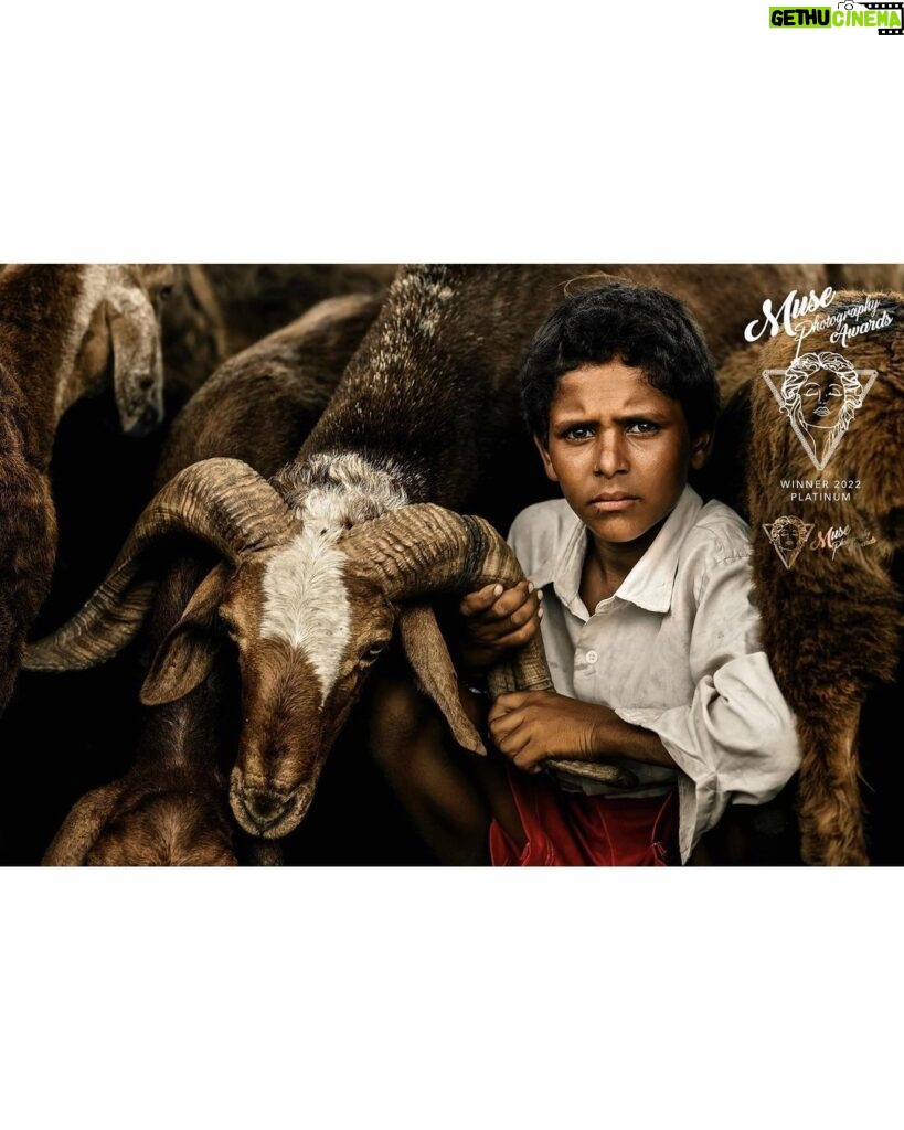 Arjun Kamath Instagram - MUSE Photography Awards announced the 2022 Early Winners this afternoon, in its inaugural year of the awards program, to the public. In light of that, more than 3,500 photographical entries were submitted in its inaugural year, from over 50 countries worldwide, namely United States, Italy, United Kingdom, Germany, South Africa, France, Australia, Netherlands, Spain, Poland, Norway, and Austria. I’m happy to have been awarded the Platinum Winner in the ‘People Photography- Children’ category. @canonindia_official @musephotographyawards #awards #winner #people #children #arjunkamathphotography #musephotographyawards #DoGreatWithCanon #MentorsInFocus #EOSMaestro #instagood #instagram