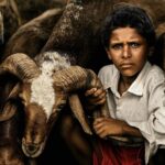 Arjun Kamath Instagram - Thrilled to have been awarded the First Place at the @ndmagazine Awards 2022 in two professional categories - “People: Children” and, “Editorial: Photo Essay / Story”, and the Second Place in “Editorial: Daily Life”. #arjunkamathphotography #awardwinning #photography #photographyawards #firstplace #2ndplace #winner #ndawards #portrait #children #editorial #photostory #dailylife
