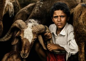 Arjun Kamath Instagram - Thrilled to have been awarded the First Place at the @ndmagazine Awards 2022 in two professional categories - “People: Children” and, “Editorial: Photo Essay / Story”, and the Second Place in “Editorial: Daily Life”. 

#arjunkamathphotography #awardwinning #photography #photographyawards #firstplace #2ndplace #winner #ndawards #portrait #children #editorial #photostory #dailylife