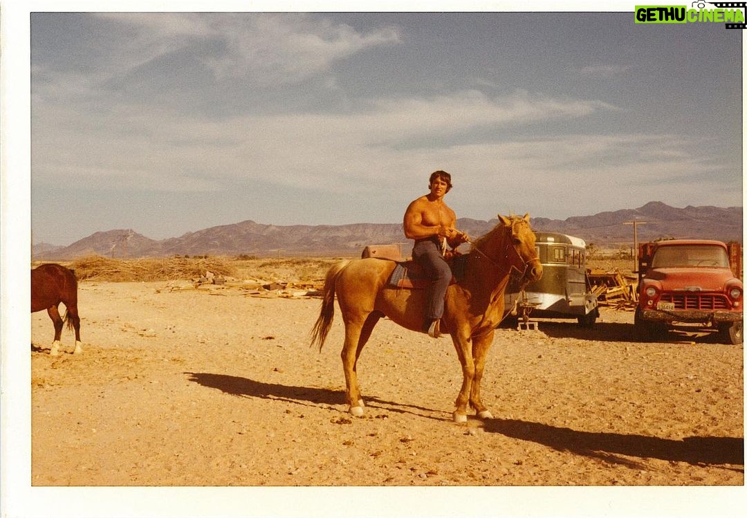 Arnold Schwarzenegger Instagram - My weekend challenge to the Pump Club was to stay hungry and go out and learn something new. Whether you pick up a book you’ve been meaning to read or talk to someone you’ve never spoken to, I want you to learn one new thing this weekend! Join the Pump Club at the link in my bio.