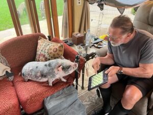 Arnold Schwarzenegger Instagram - We all need training partners - that’s why we created the village. Today our #ArnoldsPumpClub mascot Schnelly was helping me with chess. Join the village (it’s free) at the link in my bio.

📸: @dieter_rauter