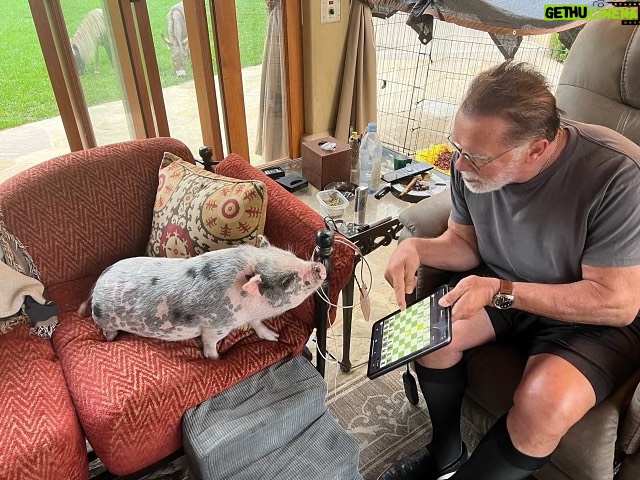 Arnold Schwarzenegger Instagram - We all need training partners - that’s why we created the village. Today our #ArnoldsPumpClub mascot Schnelly was helping me with chess. Join the village (it’s free) at the link in my bio. 📸: @dieter_rauter