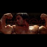 Arnold Schwarzenegger Instagram – Happy birthday, Franco.