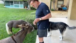 Arnold Schwarzenegger Instagram - Thank you all for the kind birthday messages! You made my day. If you want to see my birthday wish list, link is in my bio!