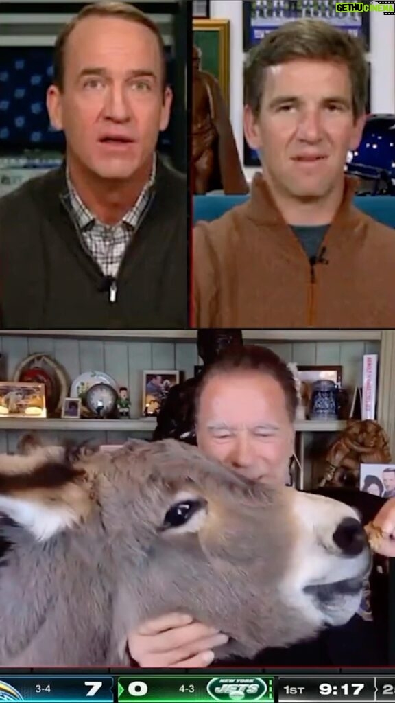 Arnold Schwarzenegger Instagram - Nothing to see here just Arnold Schwarzenegger feeding a donkey on the ManningCast.