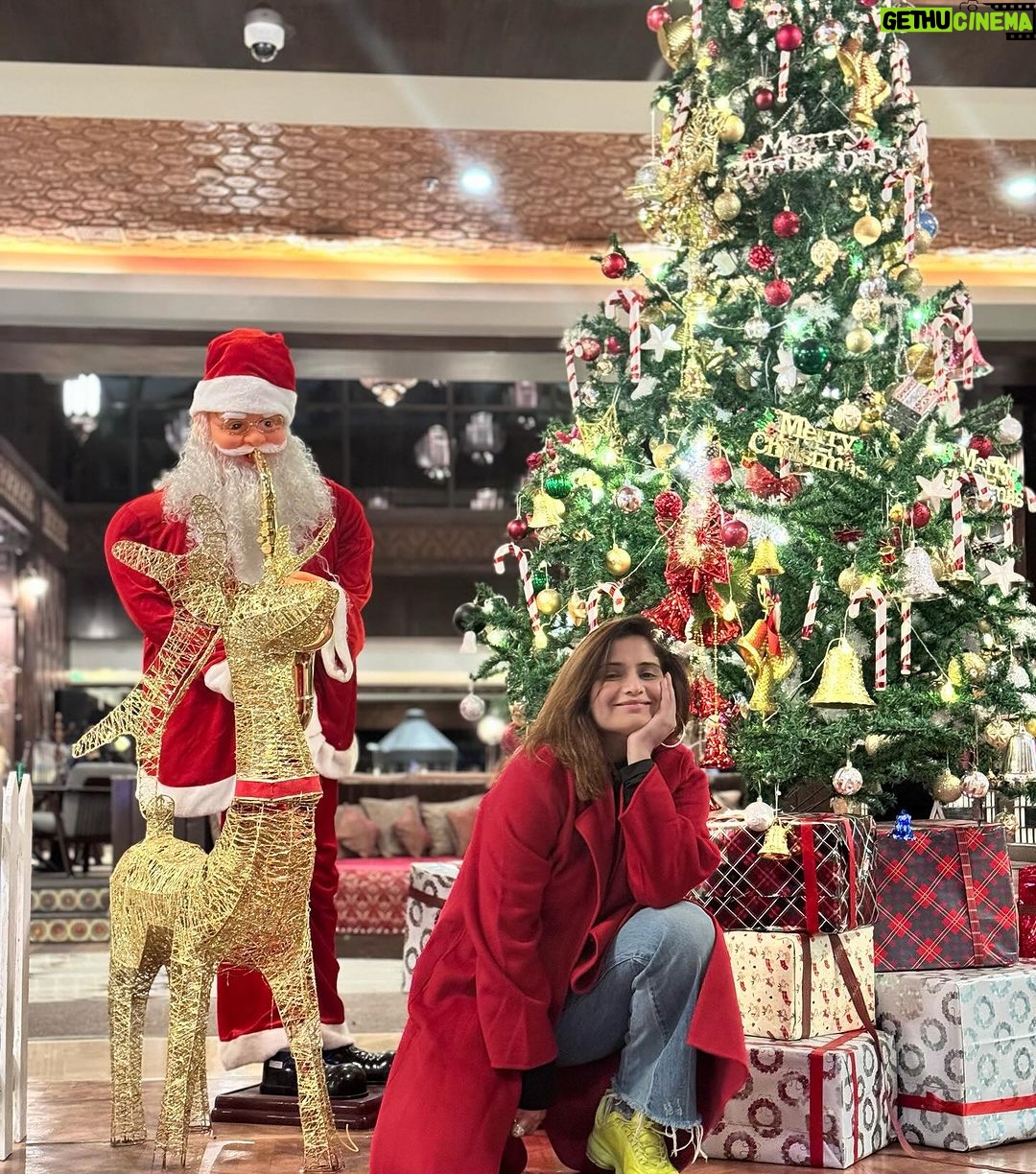 Arti Singh Instagram - Dear Santa 🧑🎄 finally I got my best gift in this year . 2023 I love you . Thank u for everything . My GURUJI y father hv so much to say to u . But u know it . I love you . Excited for 2024 . No expectations. Going with flow . Will only try to earn blessing by good karna . ❤️