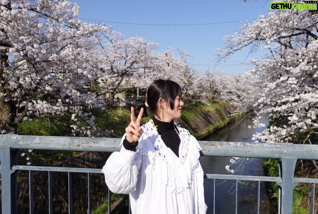 Asami Usuda Instagram - 川島小鳥さんの写真展 『たくさんの今たち』へ🐣 生命力に満ちていて、じわーっと元気が出た🙌🏻🔥わたしも、生き生きと今をたくさん生きたい！そんな気持ち🙃❤️‍🔥 富山県は桜が満開だった。どこを通っても光や景色が美しかった🤳🏻✨ #たくさんの今たち