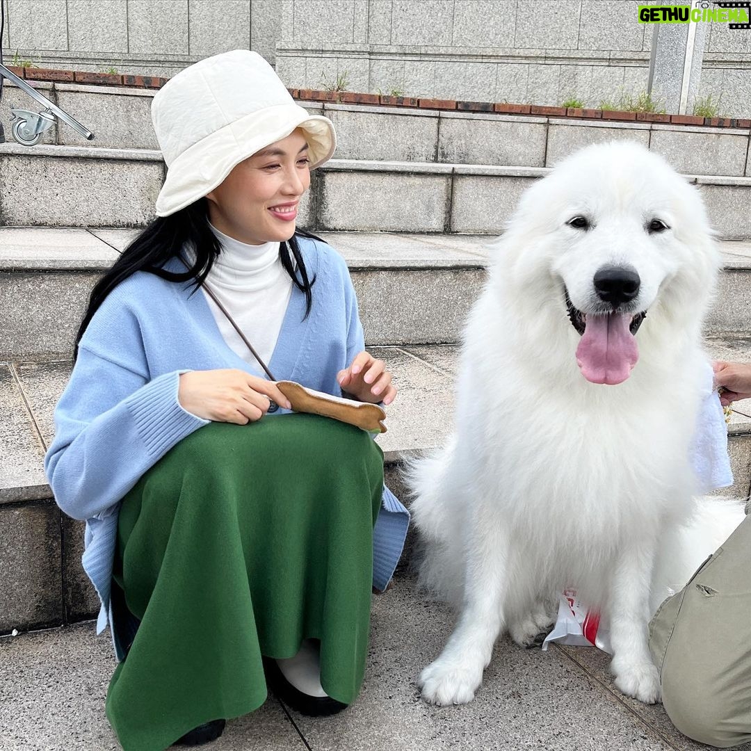 Asami Usuda Instagram - AMIγ‘γγπ»ββοΈπ€ γγγγγ£γγͺγγ¨γγζγεΊπ«§