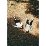 Asami Usuda Instagram – 川島小鳥が撮る、マーガレット・ハウエルを纏った臼田あさ美と井之脇海。前編

@houyhnhnm_official 

心地の良い➰ショートトリップでした😌🫰🏻