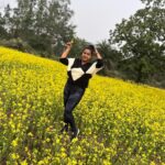 Aseema Panda Instagram - This smiling yellow beauty forced me to stop for a while and rejuvenated my sluggish soul with enormous sparkles of joy, energy, fortitude, firmness and happiness. Nature’s therapy is truly the best therapy.🍃🌱🍃 Sundargrh Odisha India