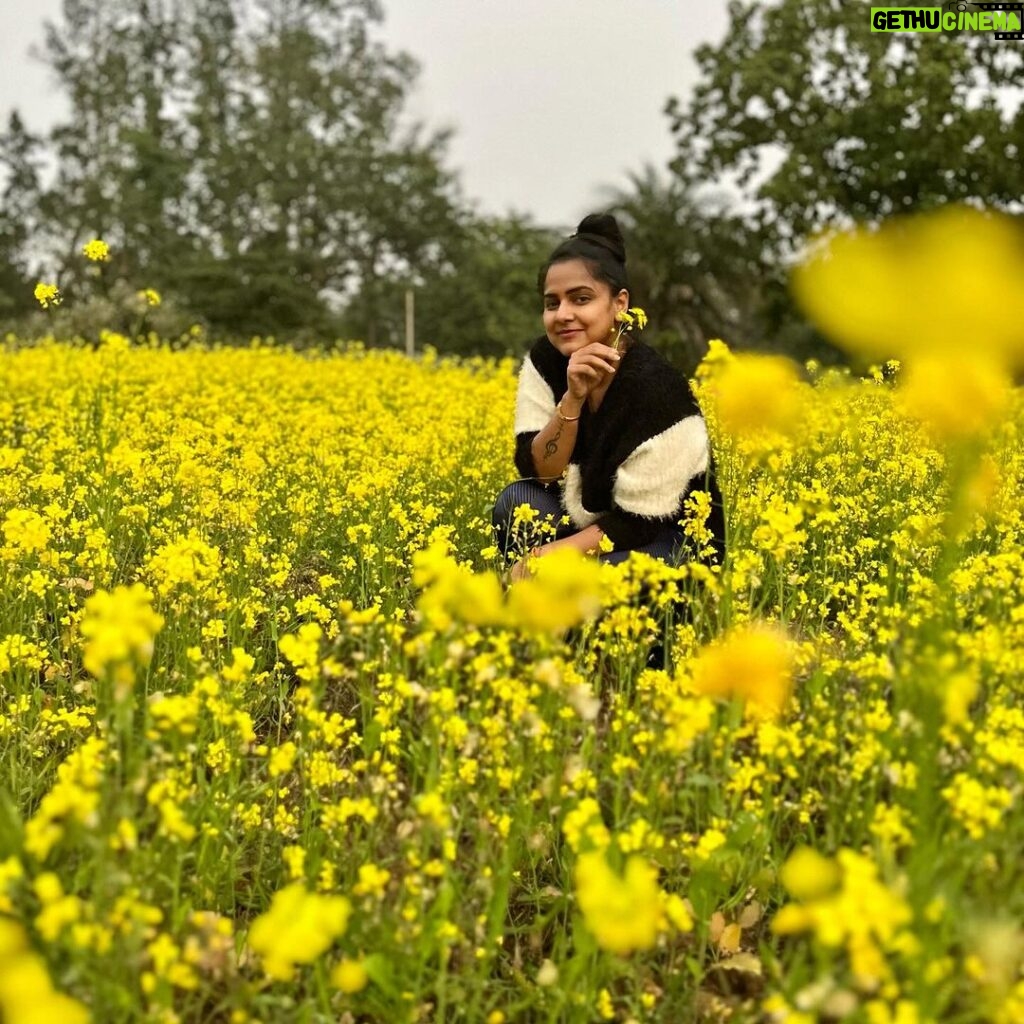 Aseema Panda Instagram - This smiling yellow beauty forced me to stop for a while and rejuvenated my sluggish soul with enormous sparkles of joy, energy, fortitude, firmness and happiness. Nature’s therapy is truly the best therapy.🍃🌱🍃 Sundargrh Odisha India