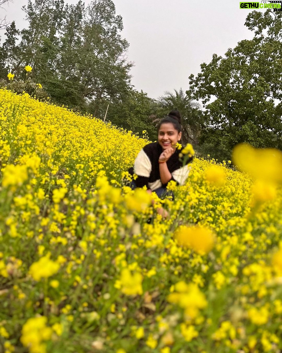 Aseema Panda Instagram - On my way from Sundargarh to Deogarh… 🌼