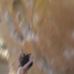 Ashima Shiraishi Instagram - A whole lotta punting on this one. It’s funny how much I love the process of being consumed by a boulder problem that I even enjoy the part where I fall off of the last moves 5 times in a row and feel utterly devastated hahaha. It’s not always the case, but I love the invigorating sensation that comes only when you’re in a place of defeat. What a pleasure it was to enjoy the rocks, streams and views for a few days in Payahuunadü, ‘the land of flowing water’, on Paiute and Shoshone land. 🔝 soon, hopefully. Till then, it’s time to train for the Lead World Cups in 🇫🇷 ! @cheynacarr @noahsahady pics.