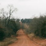Ashima Shiraishi Instagram - @midsouthgravel !!! Overjoyed to have poured my heart into those 100 miles of rolling hills atop the beautiful contours of deeply red, iron-rich port silt loam (the Oklahoma state soil). Was severely unprepared for this much mileage in the saddle but the company of my favorite human @davidblennox and the soundtrack from my favorite anime, Yowamushi Pedal, carried me through when the winds blew heavily against our chests and faces. Some of the rougher moments were assuaged by words of wisdom I recalled from the night before spoken by @arya_samsarya. ⭐️ Right when my legs felt like bursting on a never ending upward hill, i was reminded of her tip to use the momentum from the downhill to propel myself into the tiresome ascent ⛰️ sadly, my passion for climbing rocks did not translate to climbing hills, hence the need for tactics to compensate. The warm embrace at the finish was the best 💕💕💖 Couldn’t have asked for a better environment of supportive people and inspiring lands to do my first century. Thank you @unlearnpavement for the hugs and for organizing this massive gravel bike party 🪩 I’m eternally indebted to @crustbikes for letting me cruise with the team and for fixing together my favorite new whip 🚲. 📍on the tribal lands of the Otoe-Missouria, Osage, Pawnee, Seminole, Quapaw, Kickapoo, Wichita and Kiowa nations. 🪞📸: @davidblennox