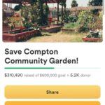 Ashleigh Cummings Instagram - We have until 4pm PST today to raise $90,000 - then an anonymous donor will put up the last $50,000 so the community of Compton can own and save their land. Link in bio 🌳💗 Look at this place, man. Food drives delivering organic food, home essentials, and health care kits for 500 families in the community. A therapeutic space for recently incarcerated youth supported by @hoops4justice . Artistic and cultural discourse. Organic gardening education and workshops. And more and more and more 💚 In their words: “Compton Community Garden is a communal effort to directly address ecological & social inequalities in Compton & beyond.” “WE DESERVE HEALTHY FOODS. WE DESERVE SAFE GREEN SPACES. WE DESERVE A SPACE TO SHARE ART, CULTURES & PERSPECTIVES. AND WE WILL HAVE A PLACE TO REAFFIRM OUR RELATIONSHIP WITH THE NATURAL WORLD, AS ONE.” *Beauteous photos by @trentonsullivann where tagged. If anyone knows who took the others, let me know! I didn’t take any of them 🙏 The Compton Community Garden