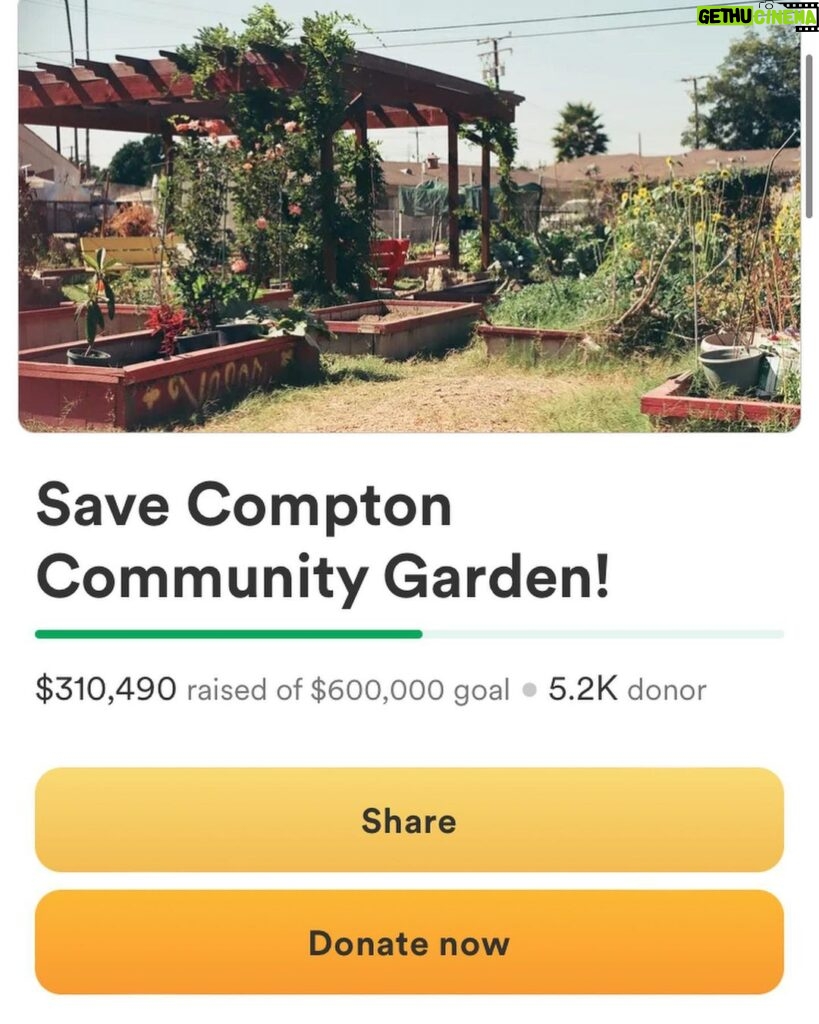 Ashleigh Cummings Instagram - We have until 4pm PST today to raise $90,000 - then an anonymous donor will put up the last $50,000 so the community of Compton can own and save their land. Link in bio 🌳💗 Look at this place, man. Food drives delivering organic food, home essentials, and health care kits for 500 families in the community. A therapeutic space for recently incarcerated youth supported by @hoops4justice . Artistic and cultural discourse. Organic gardening education and workshops. And more and more and more 💚 In their words: “Compton Community Garden is a communal effort to directly address ecological & social inequalities in Compton & beyond.” “WE DESERVE HEALTHY FOODS. WE DESERVE SAFE GREEN SPACES. WE DESERVE A SPACE TO SHARE ART, CULTURES & PERSPECTIVES. AND WE WILL HAVE A PLACE TO REAFFIRM OUR RELATIONSHIP WITH THE NATURAL WORLD, AS ONE.” *Beauteous photos by @trentonsullivann where tagged. If anyone knows who took the others, let me know! I didn’t take any of them 🙏 The Compton Community Garden