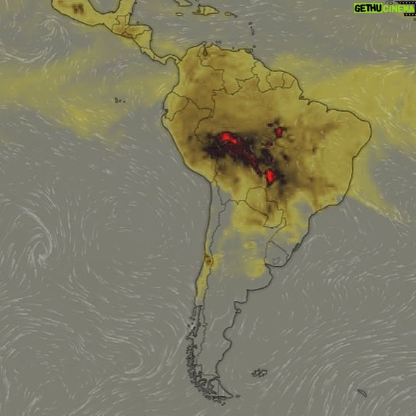 Ashleigh Cummings Instagram - The “lungs of our earth” are on fire. If our earth can’t breathe, neither can we. Did you know this ecosystem ALONE provides 20% of the oxygen in Earth’s atmosphere & 10% of all known species? It is vital to ALL life on Earth. Swipe right to find out ways you can help... like reducing your consumption of animal products (most of these fires were initially lit to clear land for cattle) or even go plant-based (but check your soy and almond sources)! And support indigenous communities who are at the forefront of this fight (they’re fighting for ALL of us! See tags below)... Know that your voices & actions really do matter - on both an individual & political scale 💚 @guajajarasonia @coiabamazonia @amazonwatch @amazonconservationteam @amazonfrontlines @greenpeacebrasil @ConservationOrg #PeopleNeedNature Excerpts from an array of literature on the matter... (not my words!) Wildfires often occur in the dry season in Brazil, but this year has been worse than normal. Fires are deliberately started in efforts to illegally deforest land for cattle ranching. 72,000 fires have been detected between January and August & more than 9,500 forest fires since Thursday, mostly in the Amazon region. In comparison, there were fewer than 40,000 in the whole of 2018. So the two scariest numbers for understanding the fires are this: There are 80 percent more fires this year than there were last summer, according to the Brazilian government. This surge in burning has accompanied a spike in deforestation. More than 1,330 square miles of the Amazon rainforest have been lost since January, a 39% increase over the same period last year, according to The New York Times. Why are these figures so important? Because Brazil’s political leadership has changed in the past year. On January 1, Jair Bolsonaro, a far-right populist who has openly pined for his country’s authoritarian past, was sworn in as president. During his campaign, he promised to weaken the Amazon’s environmental protections—which have been effective at reducing deforestation for the past two decades—and open up the rainforest to economic development. (Cntd in comments)