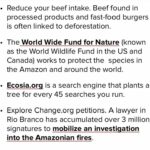 Ashleigh Cummings Instagram - The “lungs of our earth” are on fire. If our earth can’t breathe, neither can we. Did you know this ecosystem ALONE provides 20% of the oxygen in Earth’s atmosphere & 10% of all known species? It is vital to ALL life on Earth. Swipe right to find out ways you can help... like reducing your consumption of animal products (most of these fires were initially lit to clear land for cattle) or even go plant-based (but check your soy and almond sources)! And support indigenous communities who are at the forefront of this fight (they’re fighting for ALL of us! See tags below)... Know that your voices & actions really do matter - on both an individual & political scale 💚 @guajajarasonia @coiabamazonia @amazonwatch @amazonconservationteam @amazonfrontlines @greenpeacebrasil @ConservationOrg #PeopleNeedNature Excerpts from an array of literature on the matter... (not my words!) Wildfires often occur in the dry season in Brazil, but this year has been worse than normal. Fires are deliberately started in efforts to illegally deforest land for cattle ranching. 72,000 fires have been detected between January and August & more than 9,500 forest fires since Thursday, mostly in the Amazon region. In comparison, there were fewer than 40,000 in the whole of 2018. So the two scariest numbers for understanding the fires are this: There are 80 percent more fires this year than there were last summer, according to the Brazilian government. This surge in burning has accompanied a spike in deforestation. More than 1,330 square miles of the Amazon rainforest have been lost since January, a 39% increase over the same period last year, according to The New York Times. Why are these figures so important? Because Brazil’s political leadership has changed in the past year. On January 1, Jair Bolsonaro, a far-right populist who has openly pined for his country’s authoritarian past, was sworn in as president. During his campaign, he promised to weaken the Amazon’s environmental protections—which have been effective at reducing deforestation for the past two decades—and open up the rainforest to economic development. (Cntd in comments)