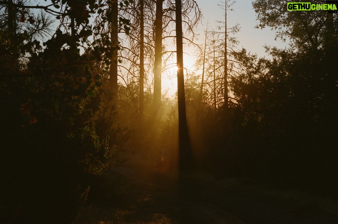 Ashleigh Cummings - 1.4K Likes - They call it magic*... ✨ (*or light flares pffftss)
THANK YOU @visitcalifornia and @australiansinfilm for letting me be in my absolute bliss in @yosemitenps 🍂🌱🧡 ‘Twas a dream...
