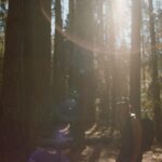 Ashleigh Cummings Instagram - They call it magic*...✨ (*or light flares pffftsss) THANK YOU @visitcalifornia and @australiansinfilm for letting me be in my absolute bliss at @yosemitenps 🍂🌱🧡