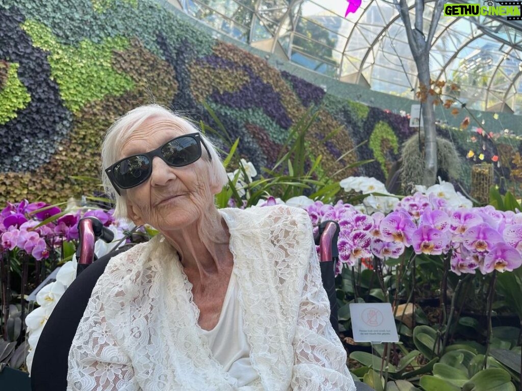 Ashleigh Cummings Instagram - Merry birthday time, nanny! Everybody tell me a story or something you learned from your nan! 😍🌷💙 Botanic Gardens of Sydney