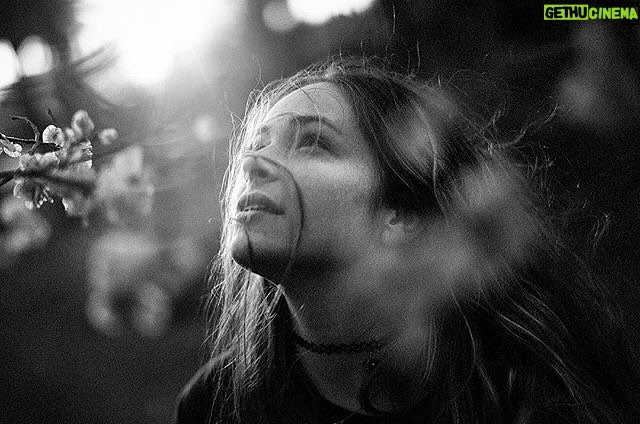 Ashleigh Cummings - 1.3K Likes - A very merry birthday to my all time gal pal and papa. I don't have a photo of us right now, but here's one that you took of me on a mighty special afternoon. Thank you for seeing me in my entirety, for seeing the world through your beautiful and truly unique lens (the world is crazily more enlightened because of it and your unparalleled talent for storytelling) and for teaching me how to do so as well. Thank you for welcoming me into yours and @twirlingwolf 's magical family - I love being a part of it more than I will ever be able to articulate! Can't wait to plait your beard and gossip about (i.e. delve deeply into the psychological depths of) Connor McGregor/Kim Kardashian whilst listening to heavy metal tunez again. Love you loads and miss you hard! Love big sis 🌥xx