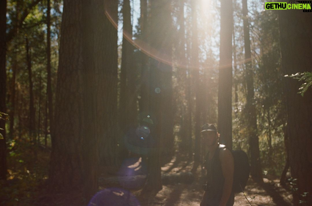 Ashleigh Cummings - 1.4K Likes - They call it magic*... ✨ (*or light flares pffftss)
THANK YOU @visitcalifornia and @australiansinfilm for letting me be in my absolute bliss in @yosemitenps 🍂🌱🧡 ‘Twas a dream...