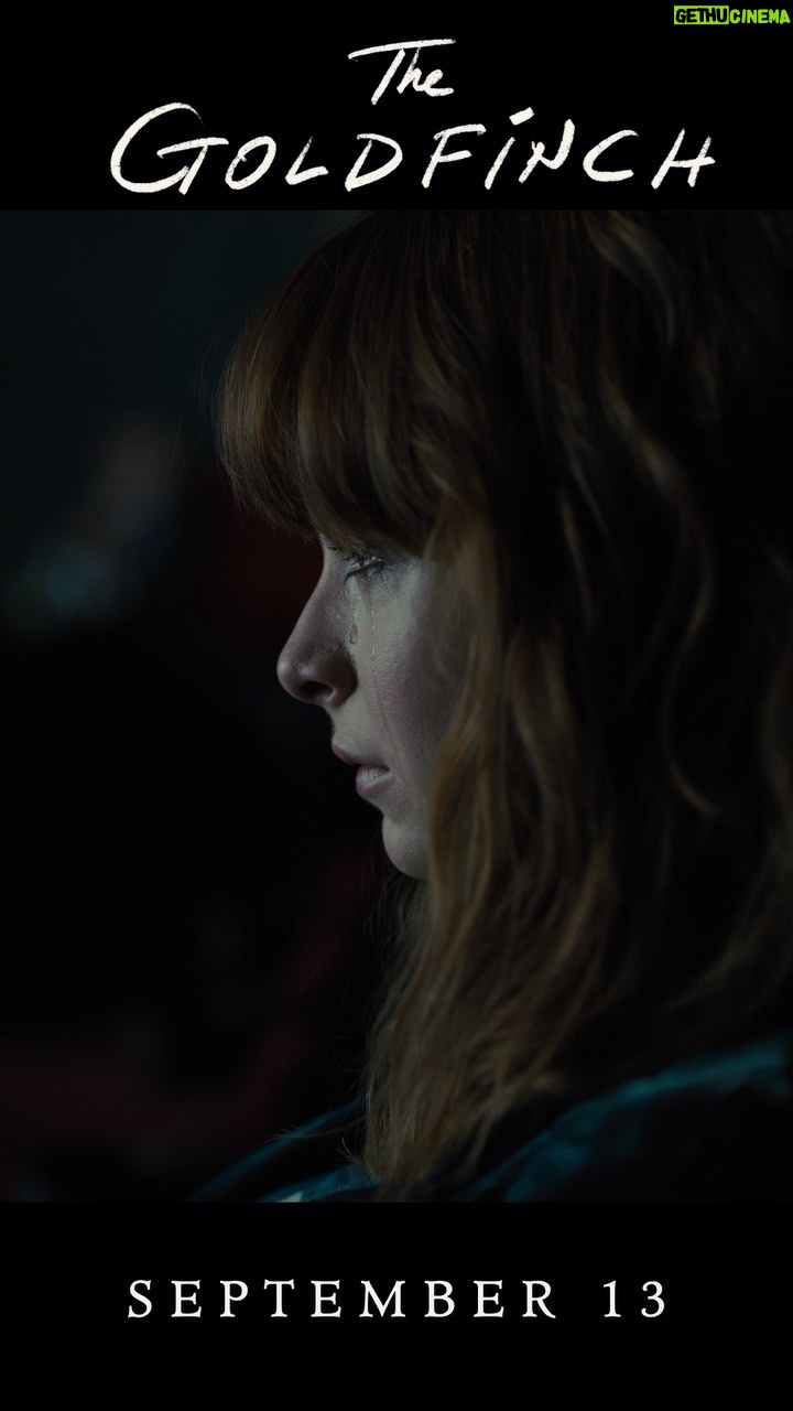 Ashleigh Cummings - 1.7K Likes - This achingly beautiful film is going to TIFF and will be out in cinemas September 13 💛✨ @goldfinchmovie